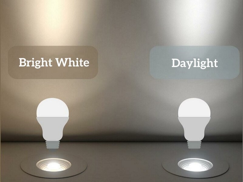 What Color Is Daylight Bulb