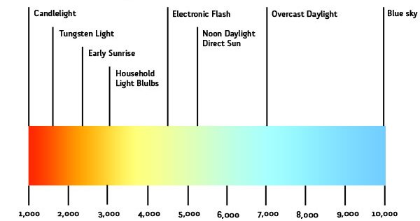 What Color Temperature Is Daylight