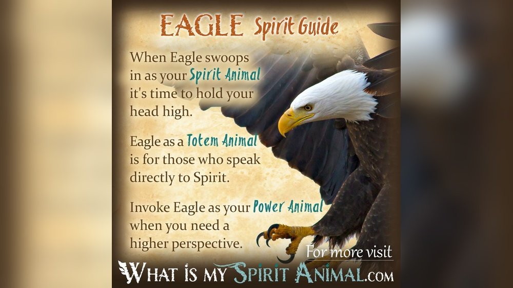 Bald Eagle Spiritual Meaning