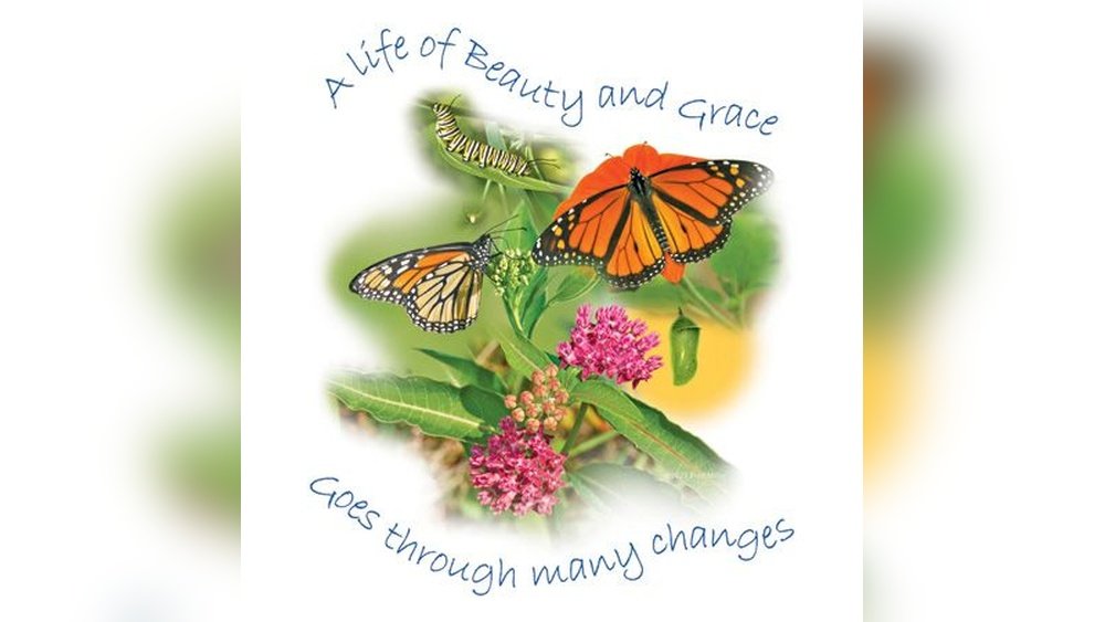 Butterflies And Spiritual Meaning