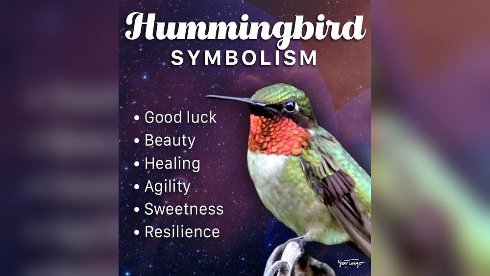 Humming Bird Spiritual Meaning