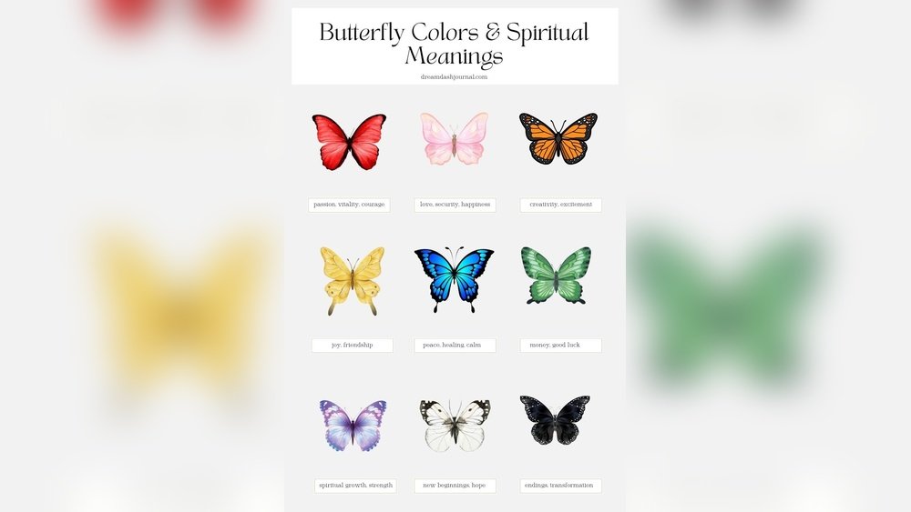 Meanings of Butterflies in Spirituality