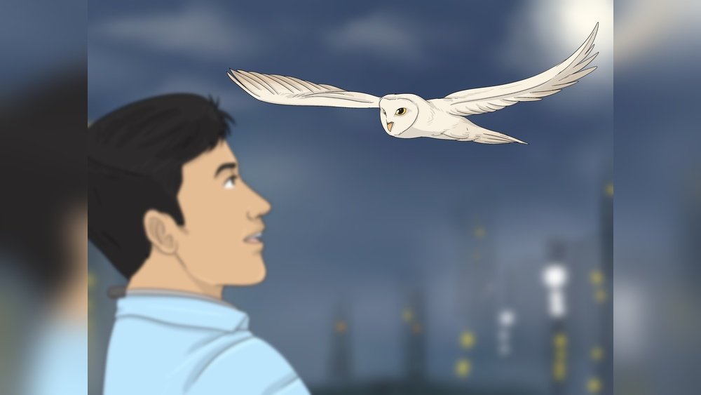 Seeing an Owl at Night Spiritual Meaning