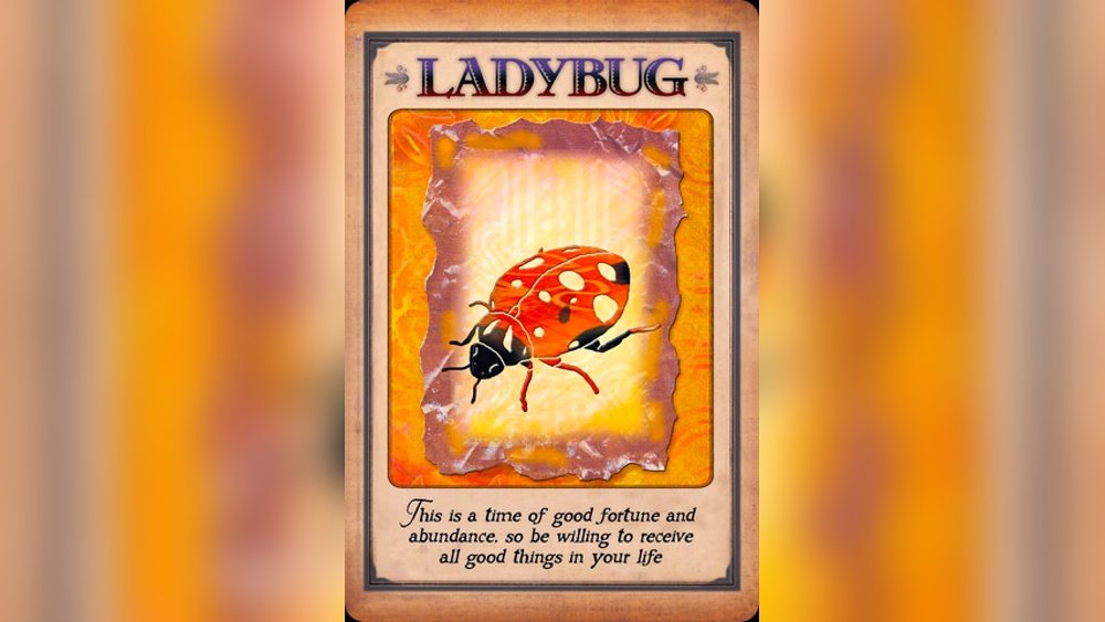 Spiritual Meaning for Ladybugs