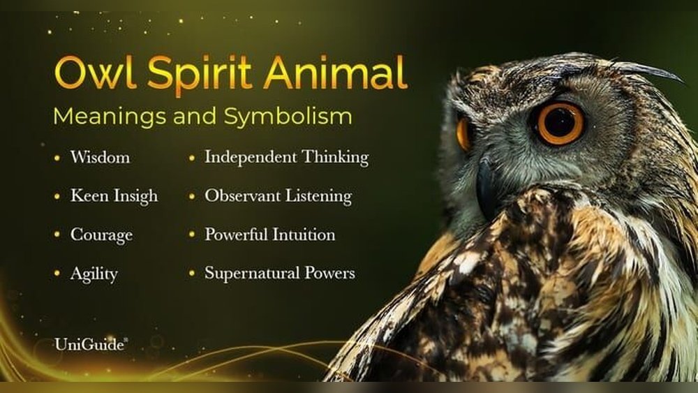Spiritual Meaning for Owls