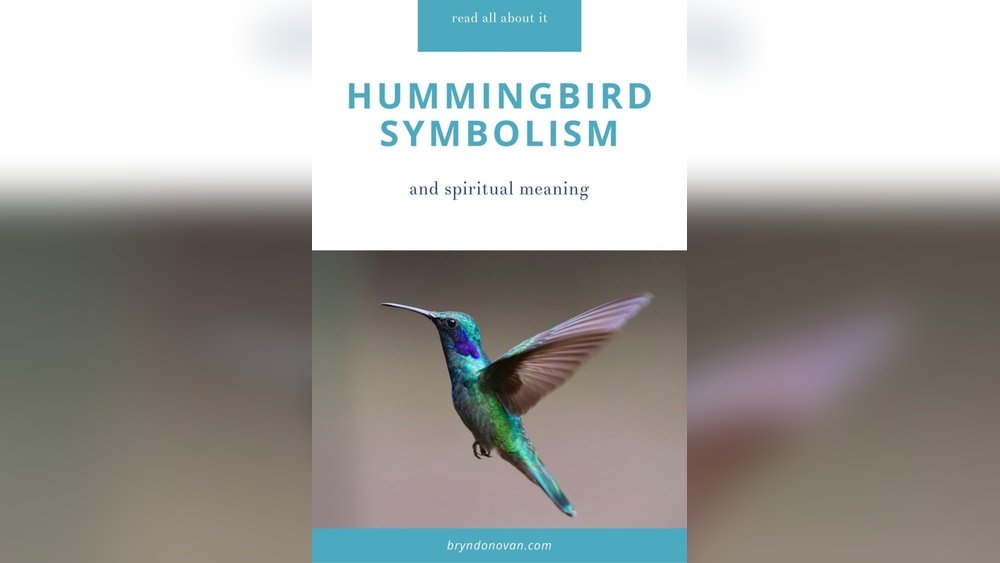 Spiritual Meaning of a Hummingbird