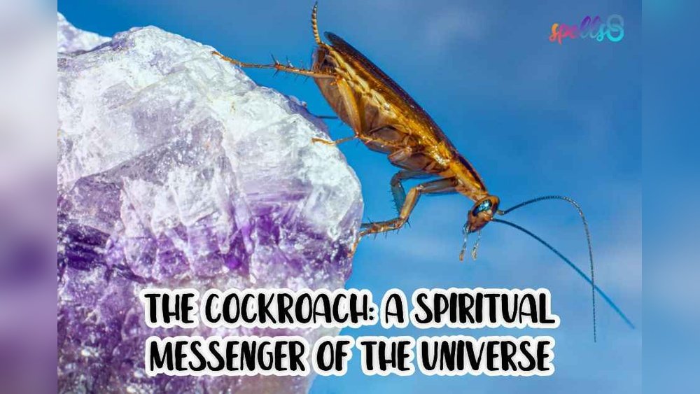 Spiritual Meaning of Cockroaches