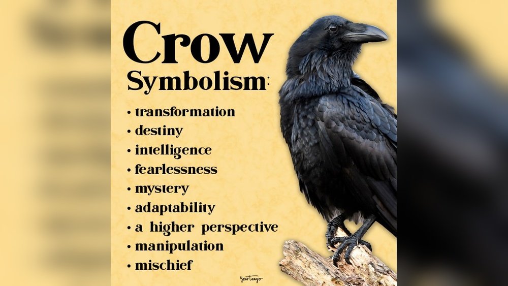 Spiritual Meaning of Crows