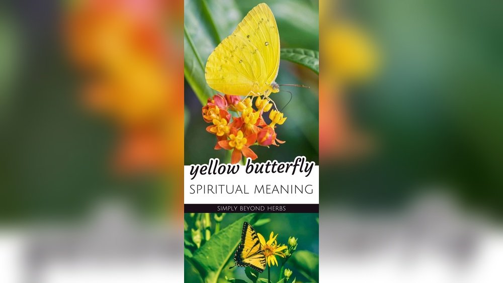 Yellow Butterfly Spiritual Meaning