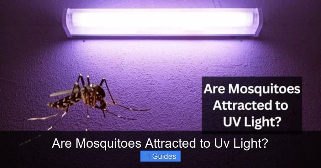Are Mosquitoes Attracted to Uv Light?