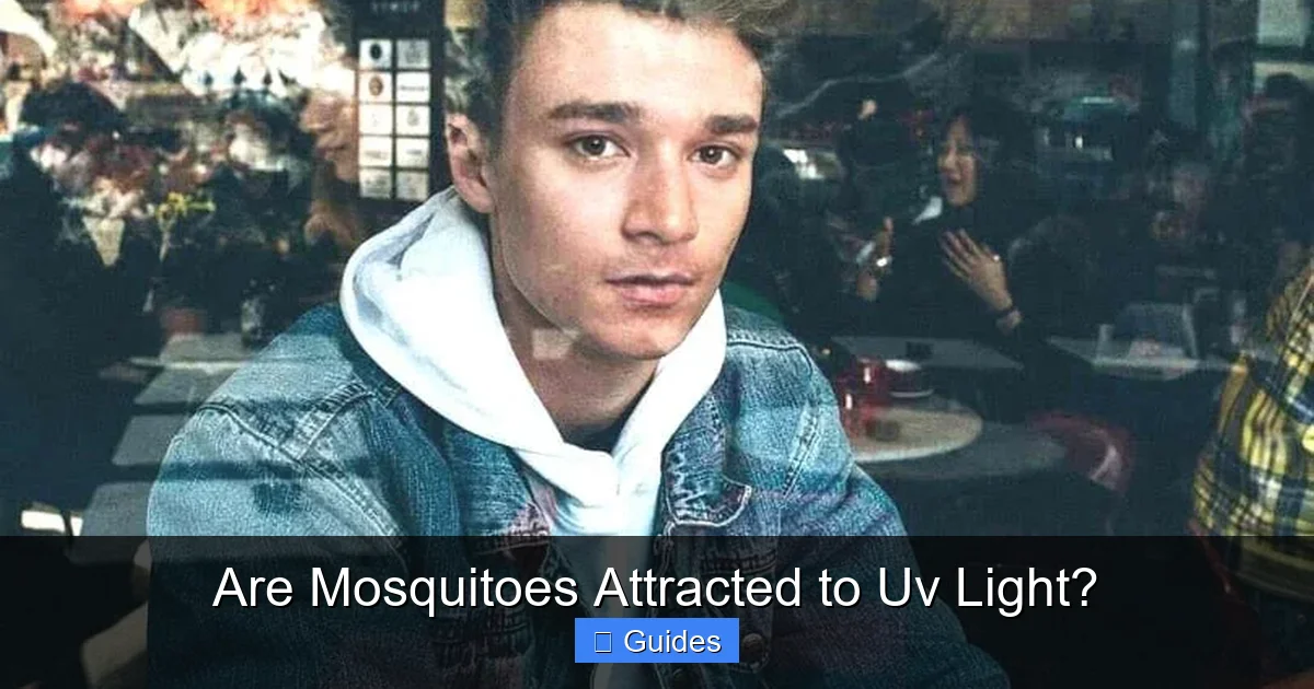 Are Mosquitoes Attracted to Uv Light?