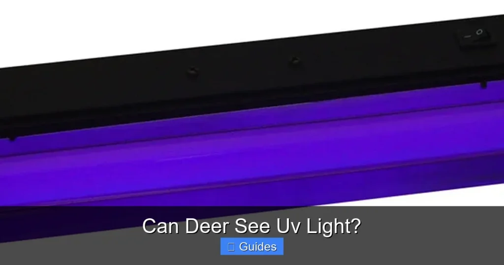 Can Deer See Uv Light?