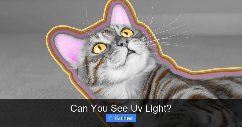 Can You See Uv Light?