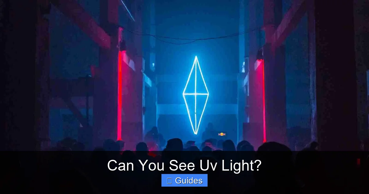Can You See Uv Light?