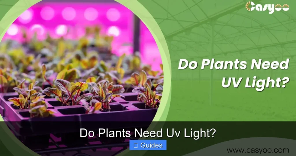 Do Plants Need Uv Light?