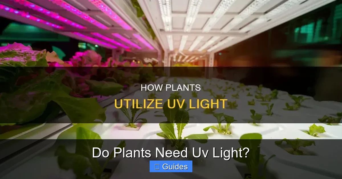 Do Plants Need Uv Light?