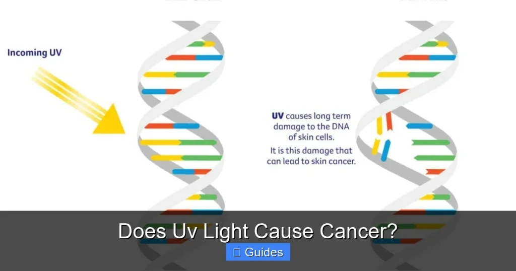 Does Uv Light Cause Cancer?