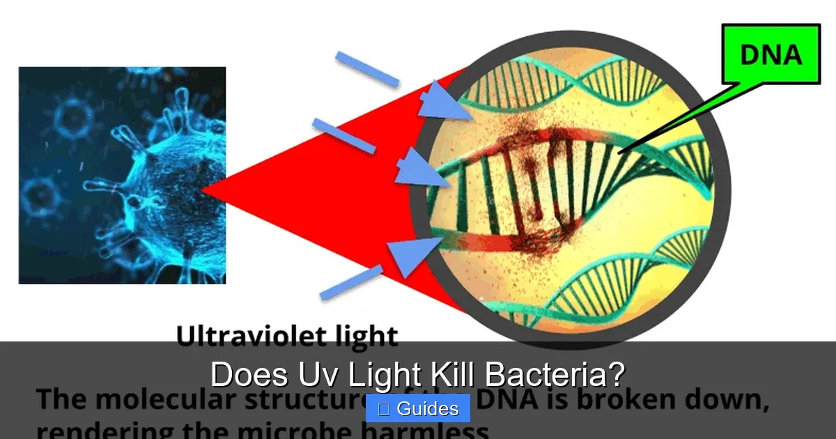 Does Uv Light Kill Bacteria?