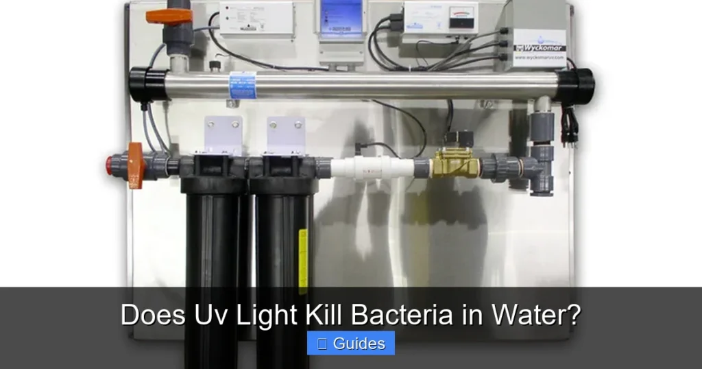 Does Uv Light Kill Bacteria in Water?