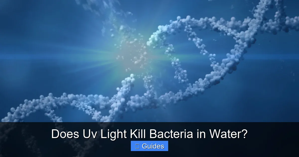Does Uv Light Kill Bacteria in Water?