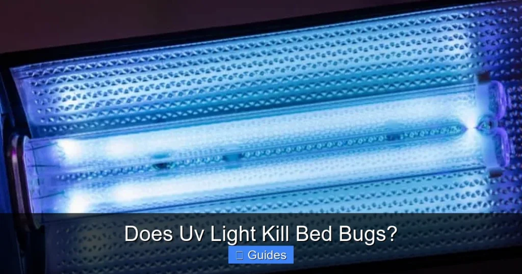 Does Uv Light Kill Bed Bugs?