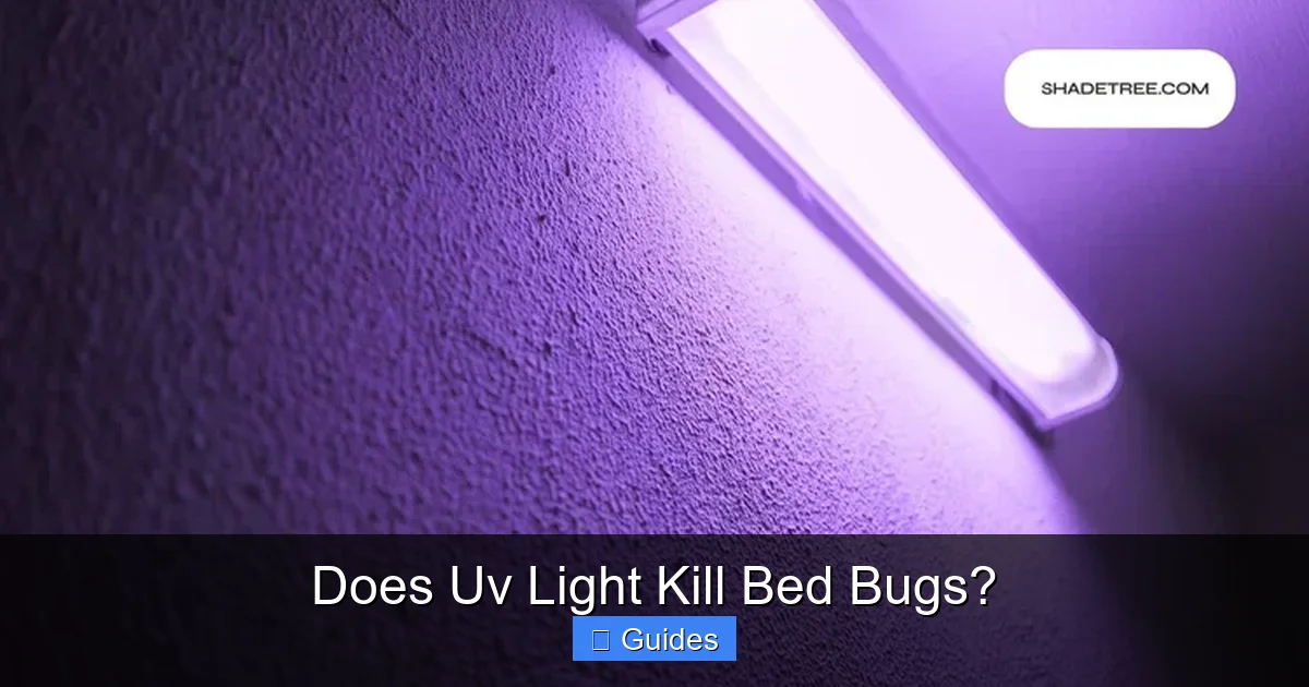 Does Uv Light Kill Bed Bugs?