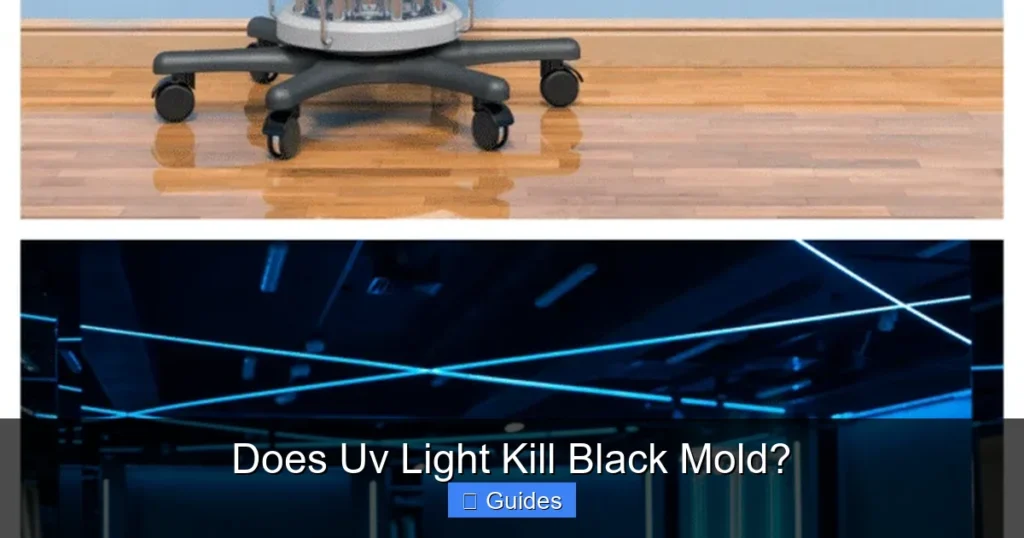 Does Uv Light Kill Black Mold?