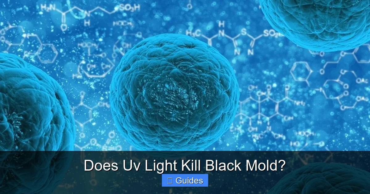 Does Uv Light Kill Black Mold?