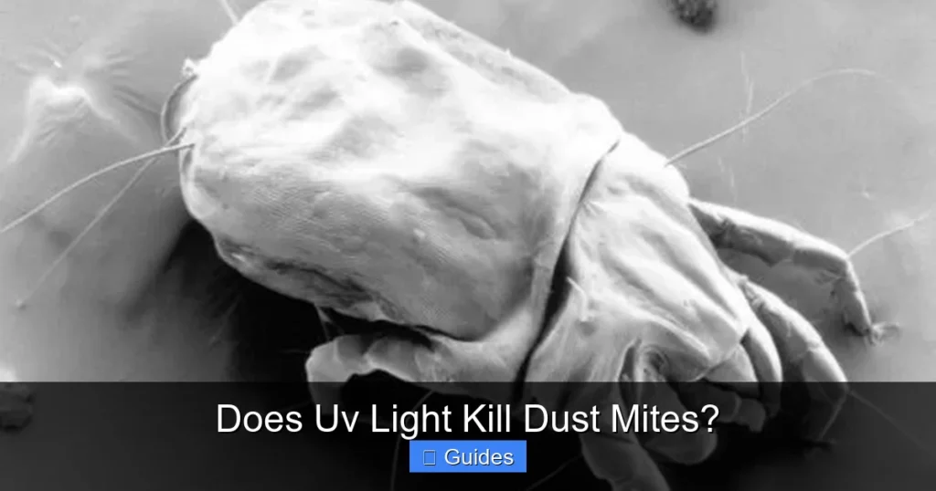 Does Uv Light Kill Dust Mites?