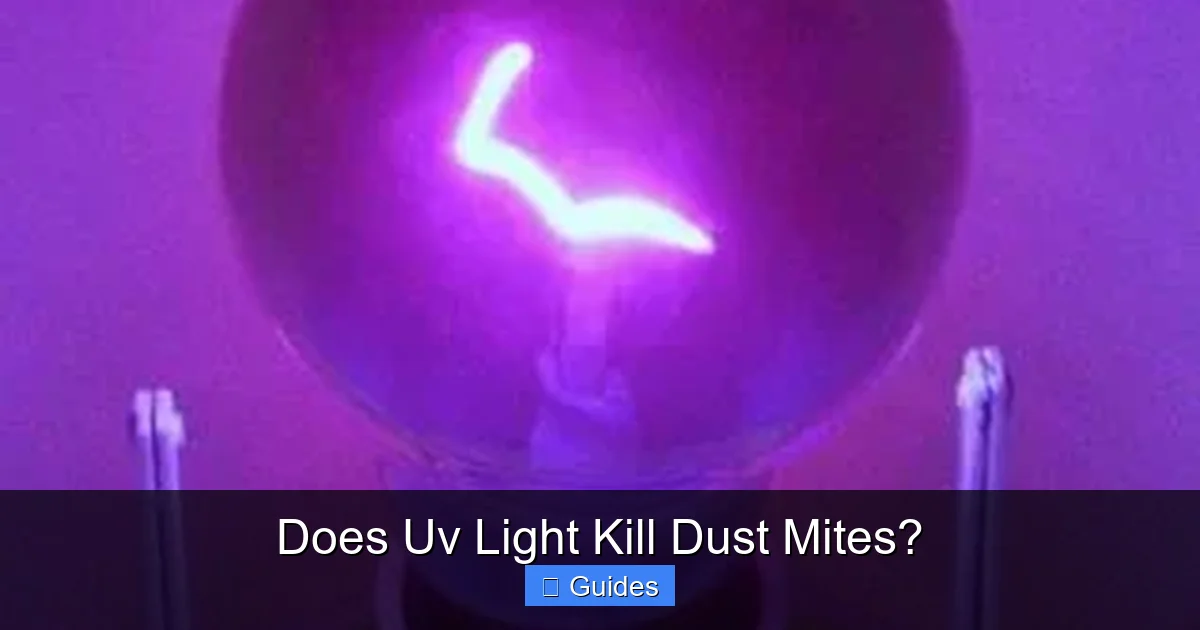 Does Uv Light Kill Dust Mites?