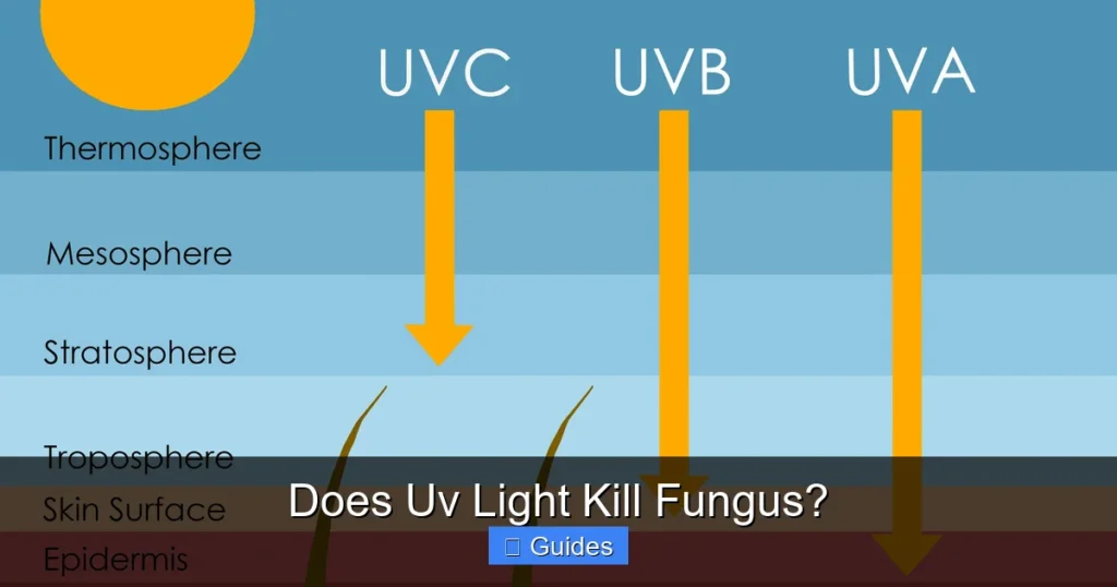Does Uv Light Kill Fungus?