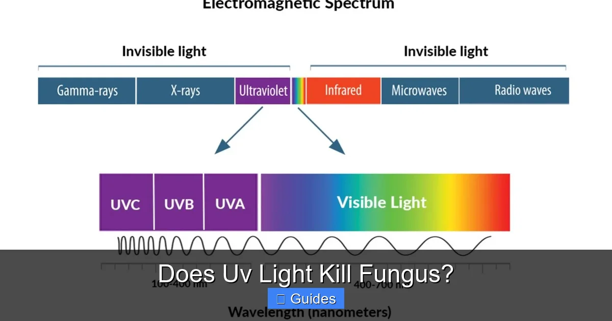 Does Uv Light Kill Fungus?