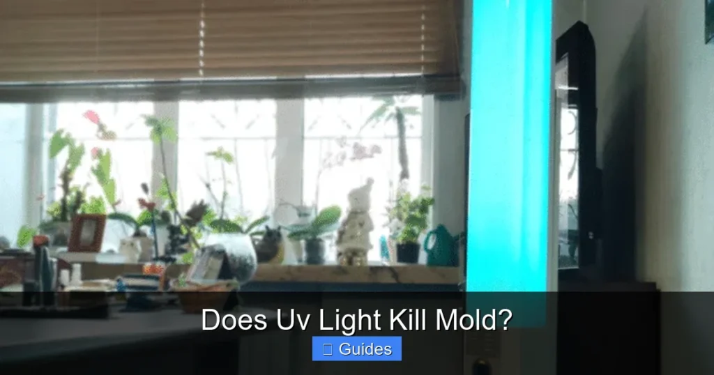 Does Uv Light Kill Mold?