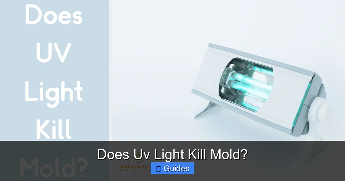 Does Uv Light Kill Mold?