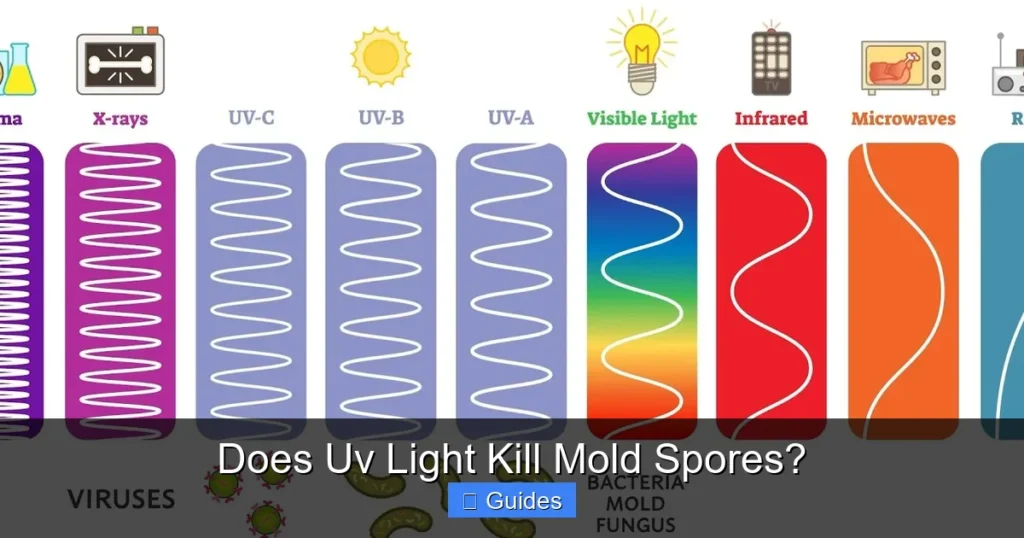 Does Uv Light Kill Mold Spores?