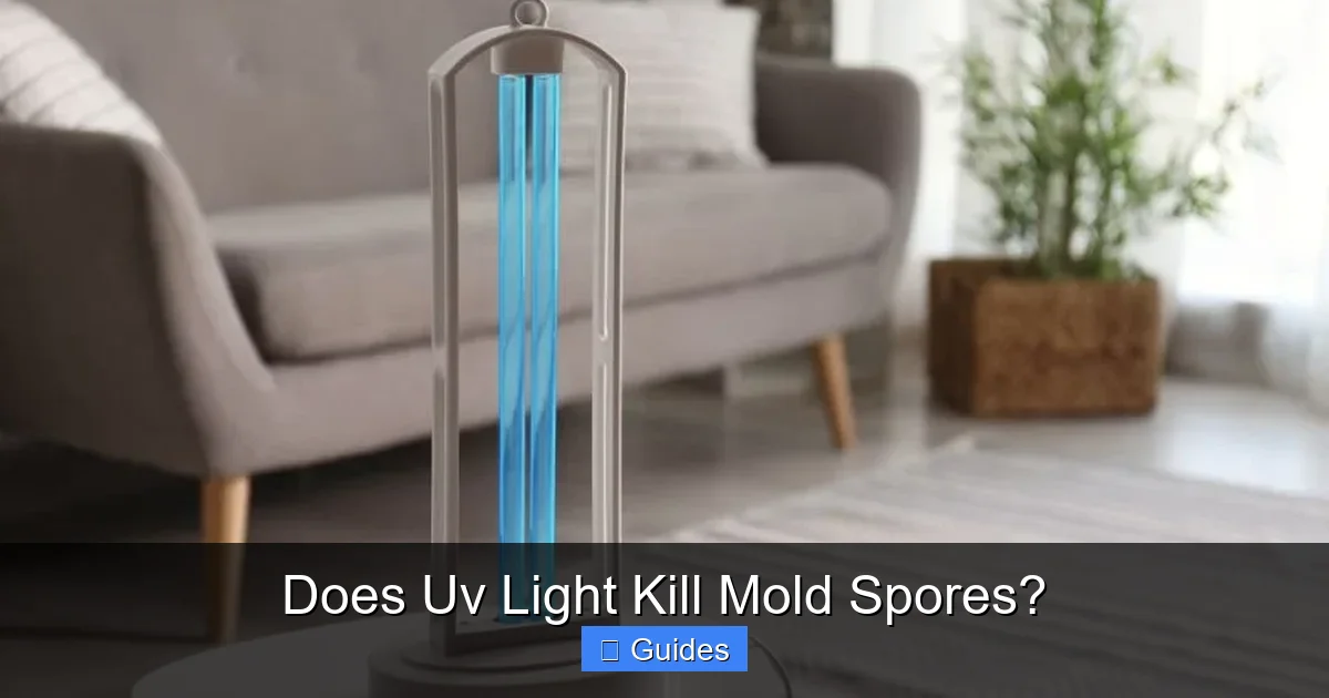 Does Uv Light Kill Mold Spores?