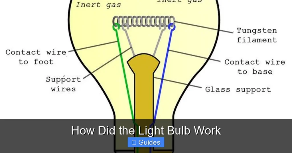 How Did the Light Bulb Work