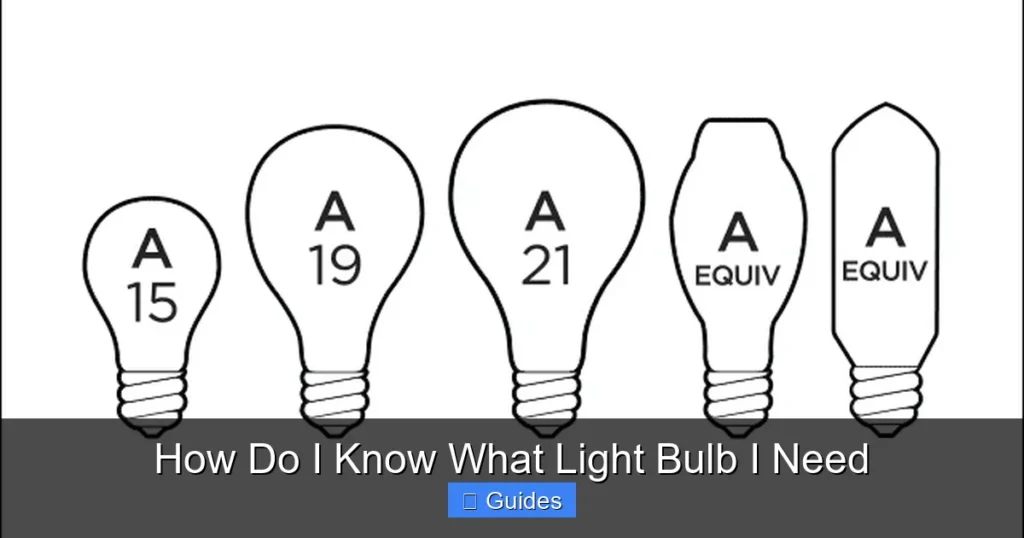 How Do I Know What Light Bulb I Need