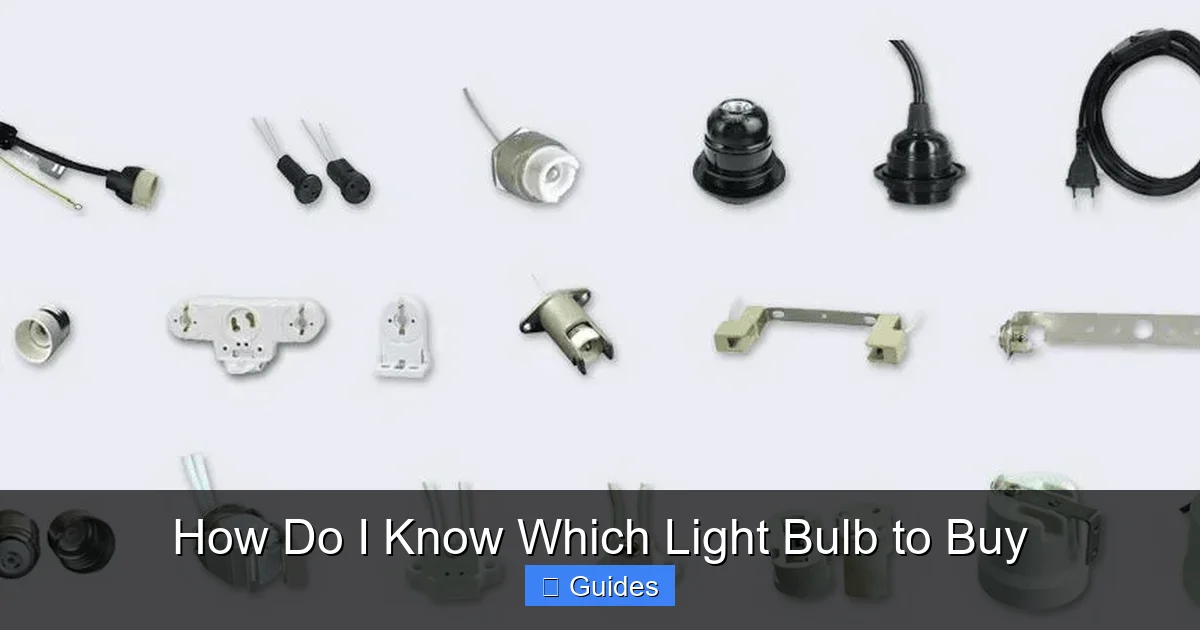 How Do I Know Which Light Bulb to Buy