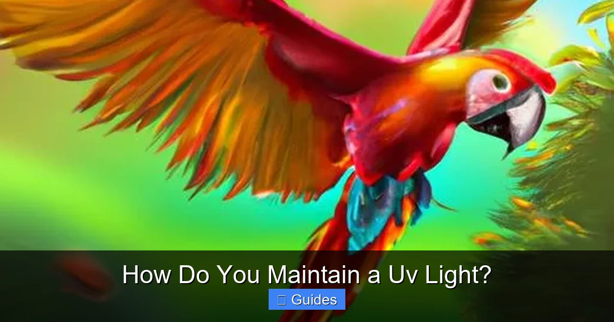 How Do You Maintain a Uv Light?