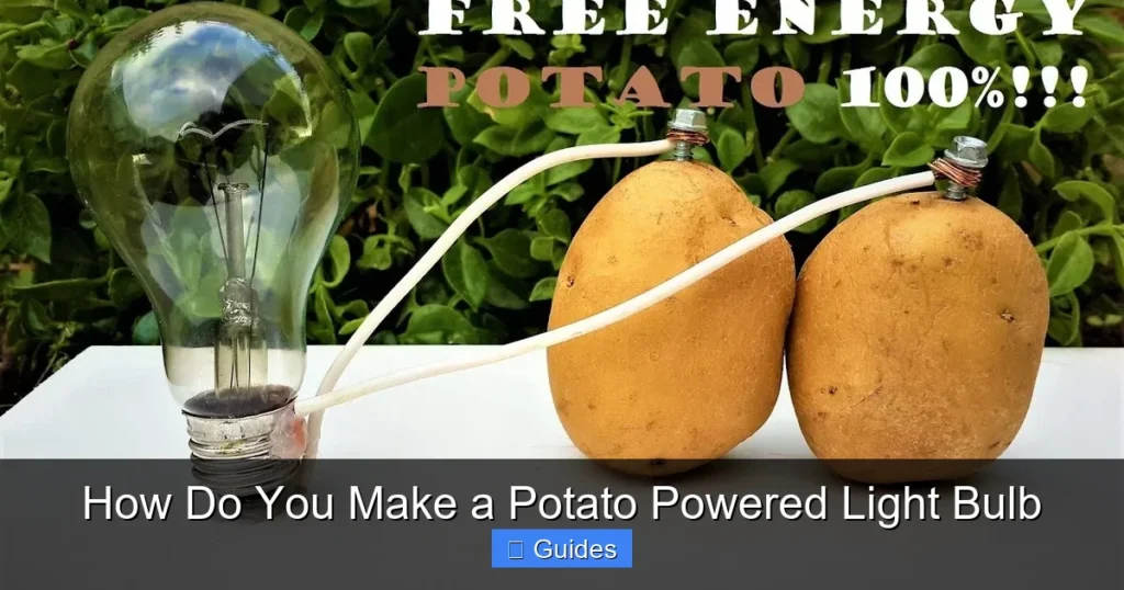 How Do You Make a Potato Powered Light Bulb