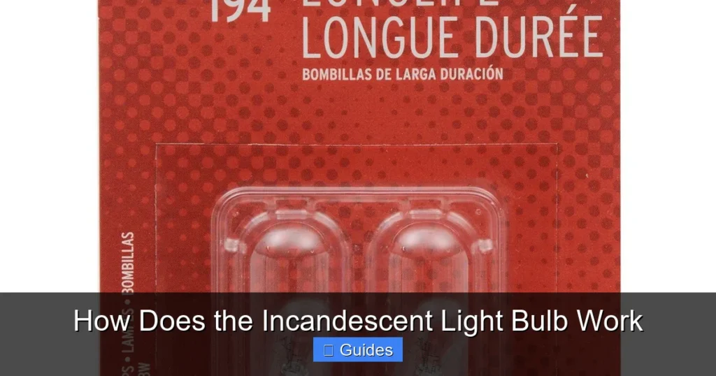 How Does the Incandescent Light Bulb Work