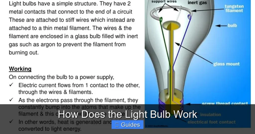 How Does the Light Bulb Work