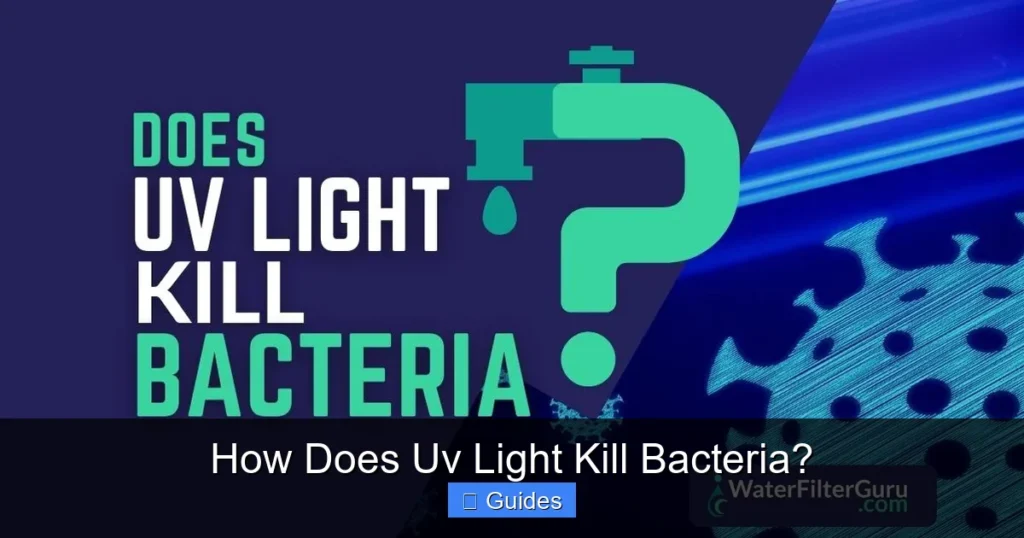 How Does Uv Light Kill Bacteria?