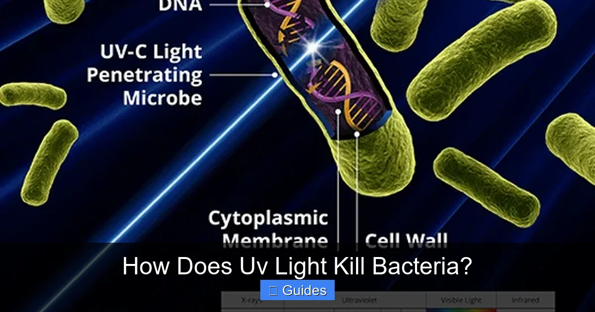 How Does Uv Light Kill Bacteria?