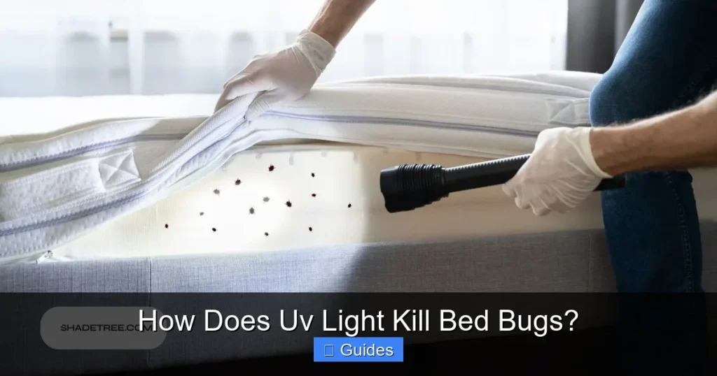 How Does Uv Light Kill Bed Bugs?