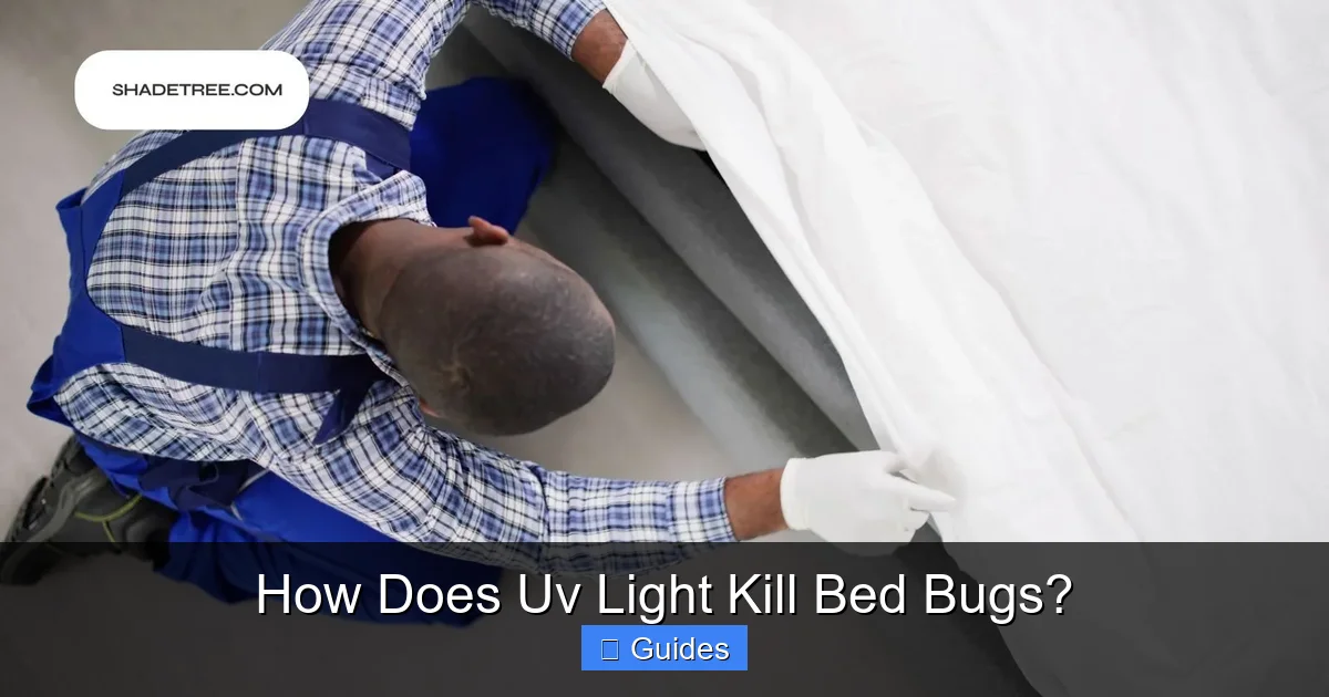 How Does Uv Light Kill Bed Bugs?