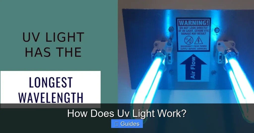 How Does Uv Light Work?