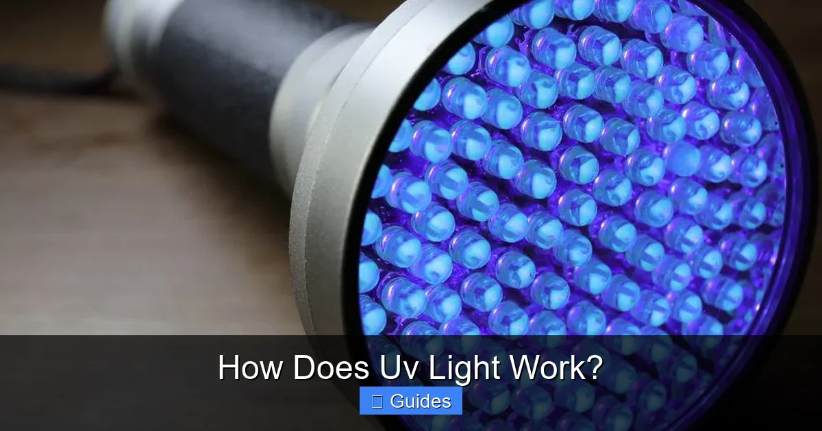 How Does Uv Light Work?