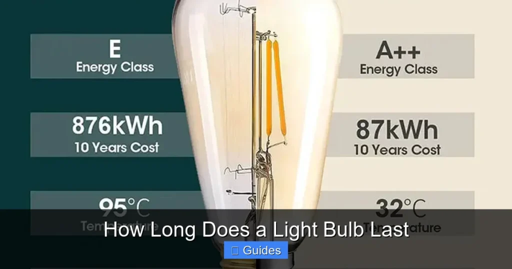 How Long Does a Light Bulb Last